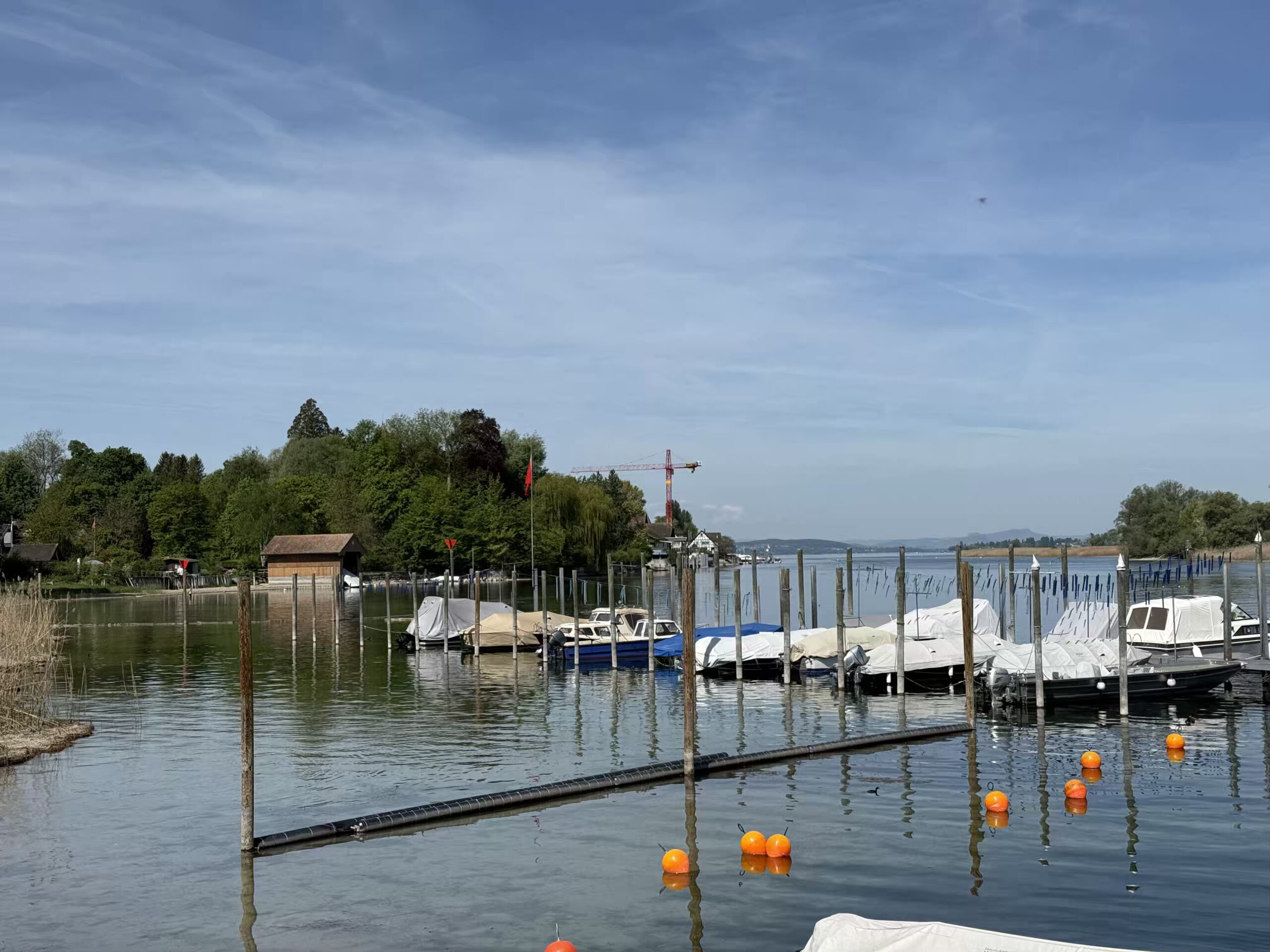 Kreuzlingen–Steckborn: Wanderung am Untersee über den Arenenberg