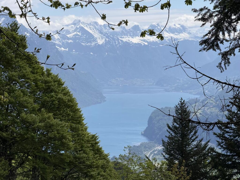 Hirzli-Rundwanderung: Aussicht vom Walensee bis zum Zürichsee IMG 0443 3 1024x768