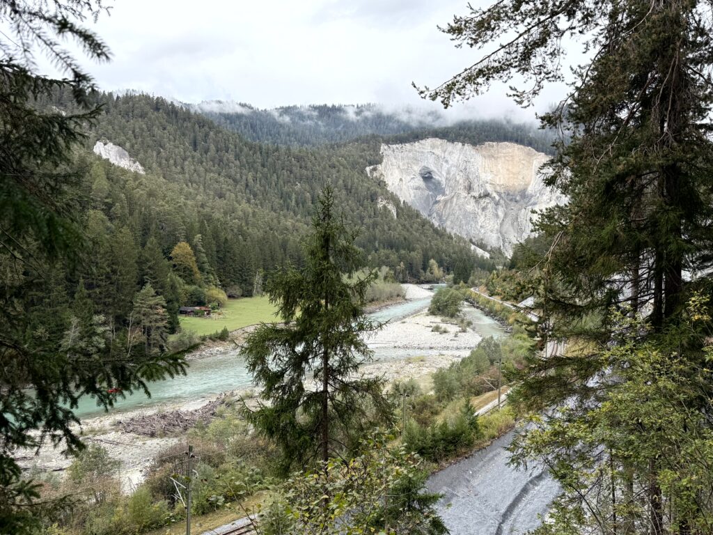 Blick in die Rheinschlucht