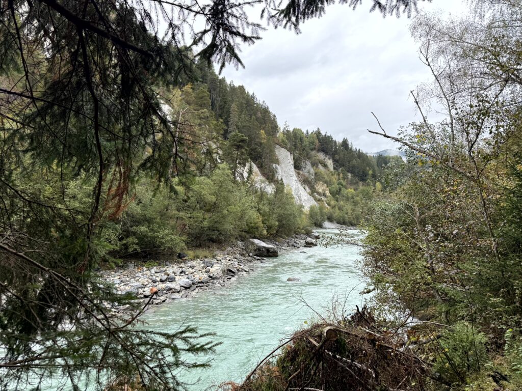 Blick auf den ersten Abschnitt der Rheinschlucht